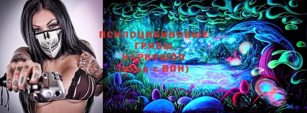 a pvp Абаза