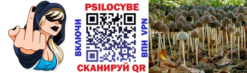 купить наркоту  Сафоново  hydra вход  Галлюциногенные грибы мухоморы 